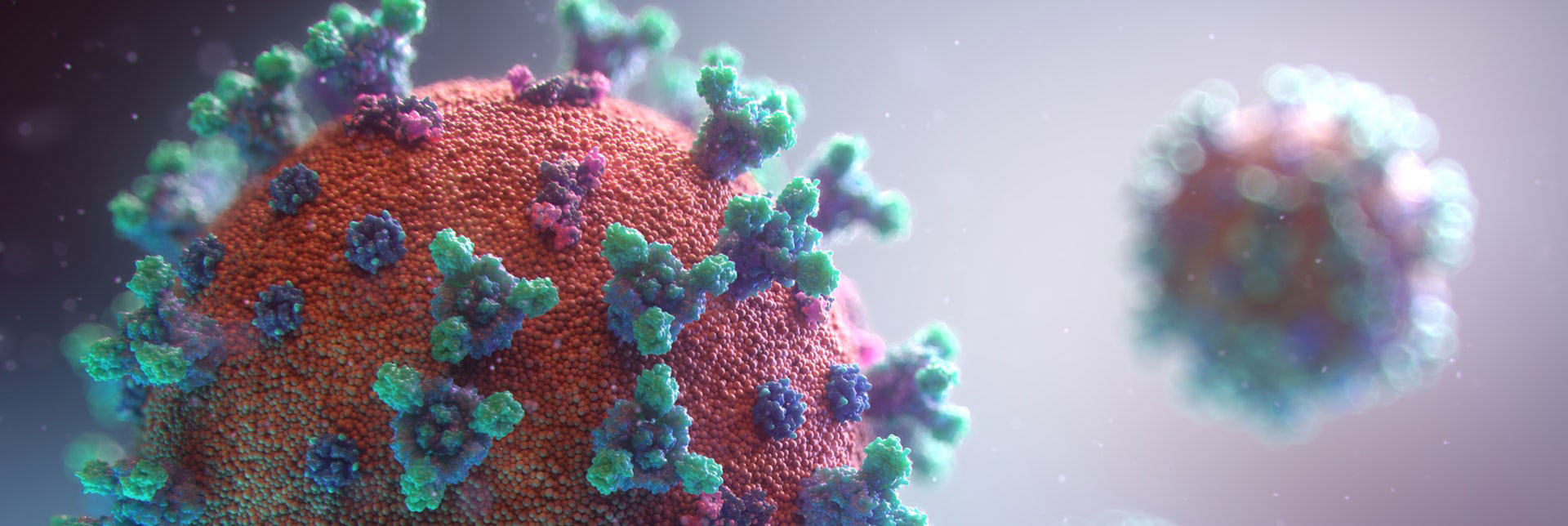 New visualisation of the Covid-19 Virus